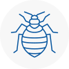 Bed Bug Extermination In Bishopstoke