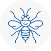 Bishopstoke Hornet Nest Removals