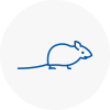 Mice Exterminators In Bishopstoke