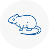 Rat Control Bishopstoke