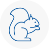 Bishopstoke Rodent Removals